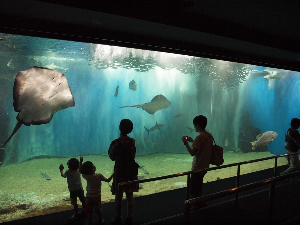 越前松島水族館