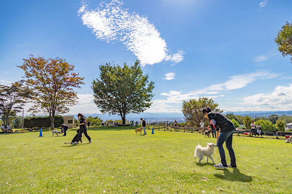 世界名犬牧場