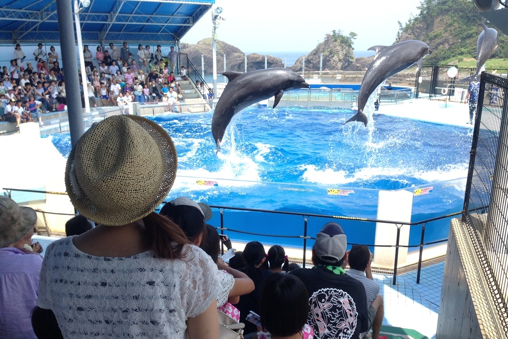 越前松島水族館