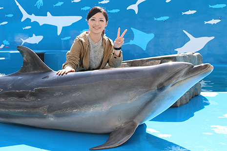 仙台うみの杜水族館 イルカタッチ＆フォト