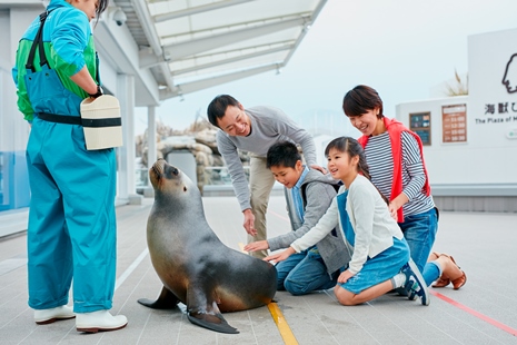 仙台うみの水族館 オタリアパフォーマンス