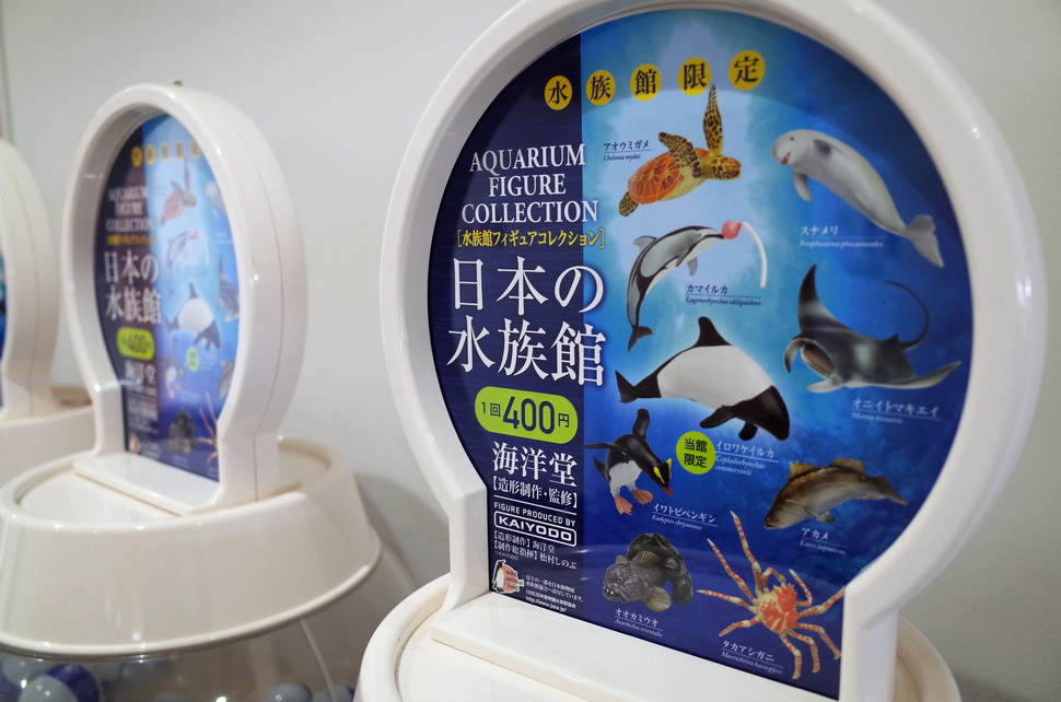 (15)仙台うみの杜水族館 割引