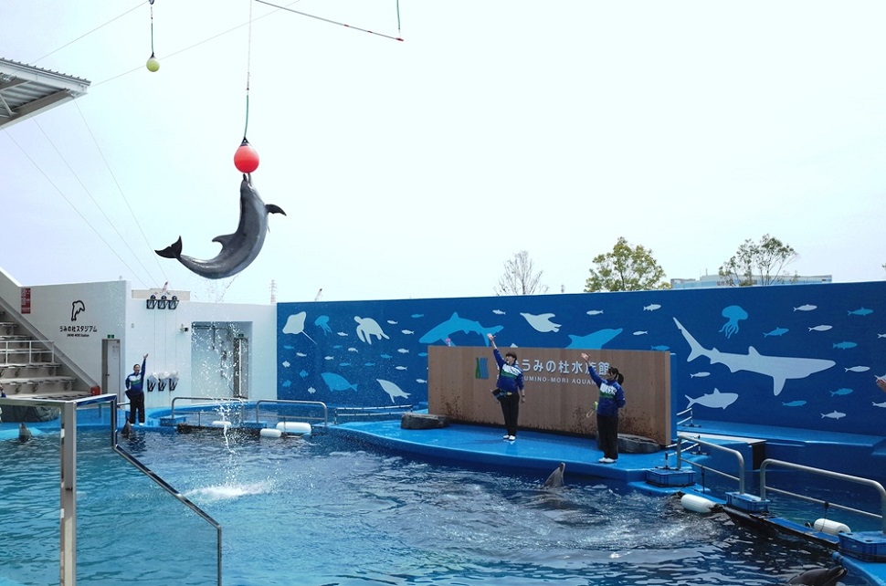 (2)仙台うみの杜水族館 割引