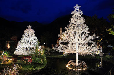 箱根ガラスの森美術館-クリスマス クリスタル・イルミネーション