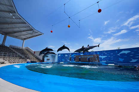 仙台うみの杜水族館-うみの杜スタジアム