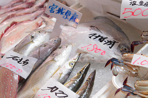 (9)食材の買出しやお土産