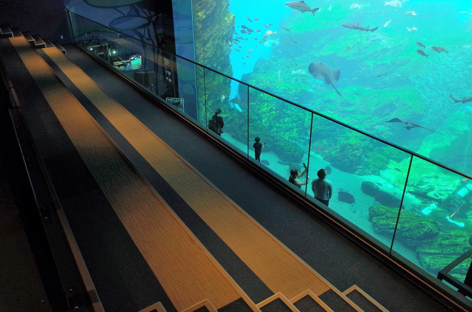 (10)仙台うみの杜水族館 割引