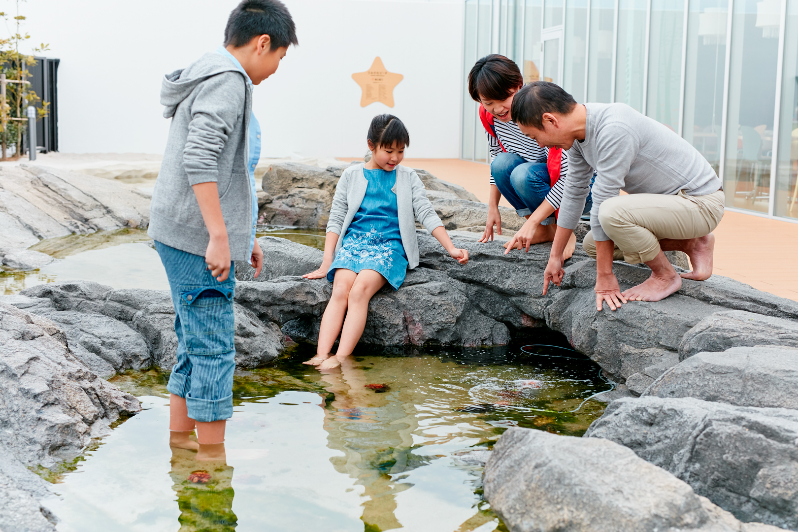 仙台うみの杜水族館-うみの杜ビーチ