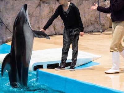 下田海中水族館-マリンファンタジー