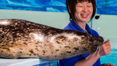 下田海中水族館-スマイルシップ