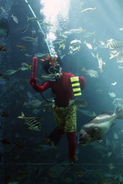 下田海中水族館-ディスカバリーオーシャン