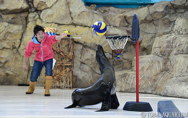 鳥羽水族館-パフォーマンススタジアム