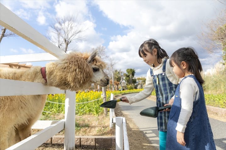 【徹底調査】神戸どうぶつ王国の割引チケット・クーポン・前売り券情報