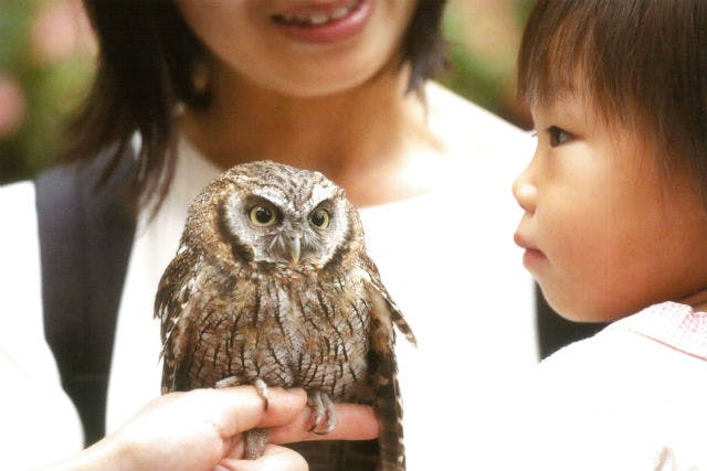 【割引まとめ】富士花鳥園の入場料金・割引チケット・クーポン・前売り券情報