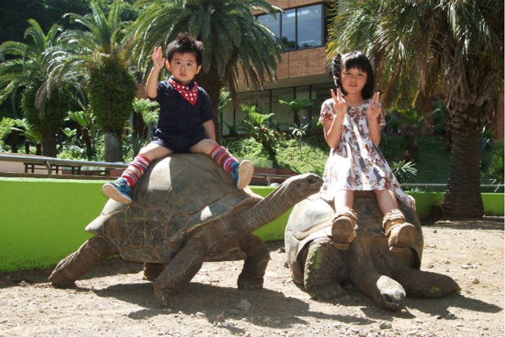 【割引まとめ】イズー（体感型動物園iZoo）の入場料金・割引チケット・クーポン・前売り券情報