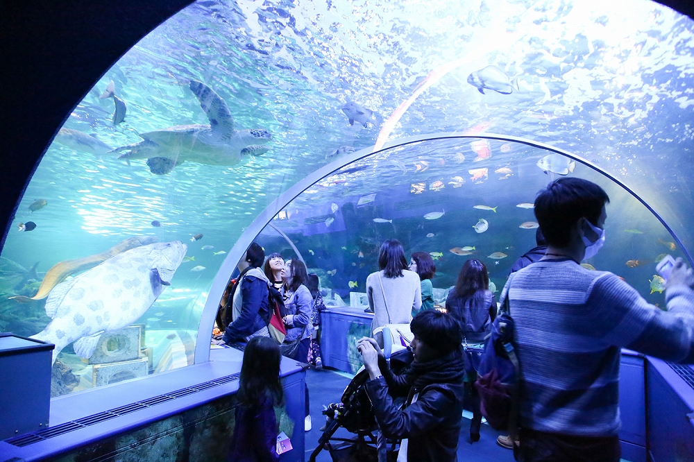 しながわ水族館