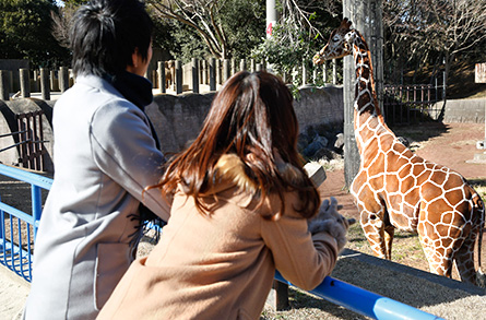 千葉市動物公園