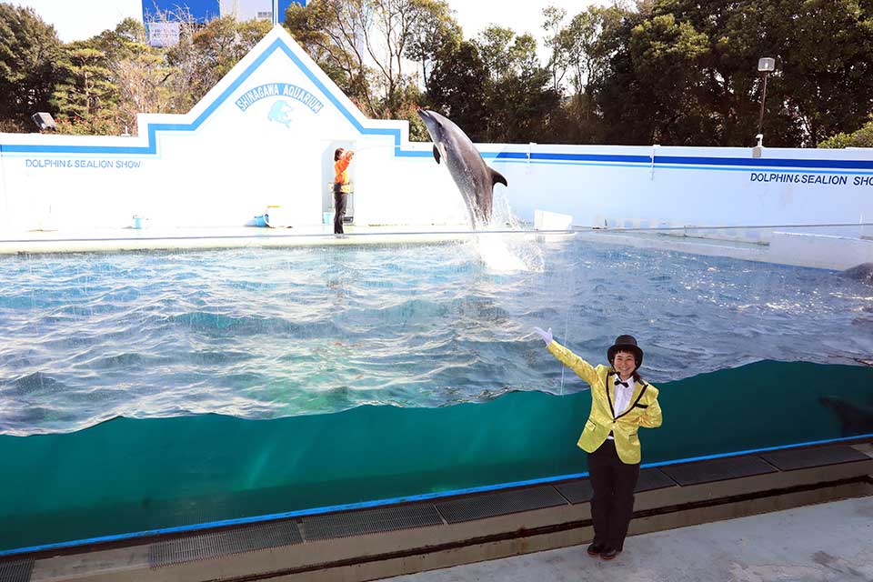 しながわ水族館