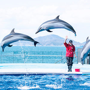 四国水族館