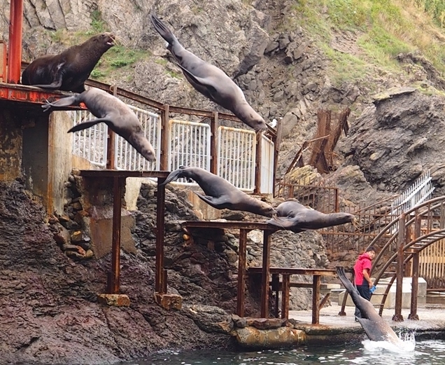 おたる水族館