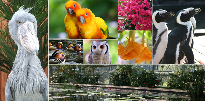 掛川花鳥園