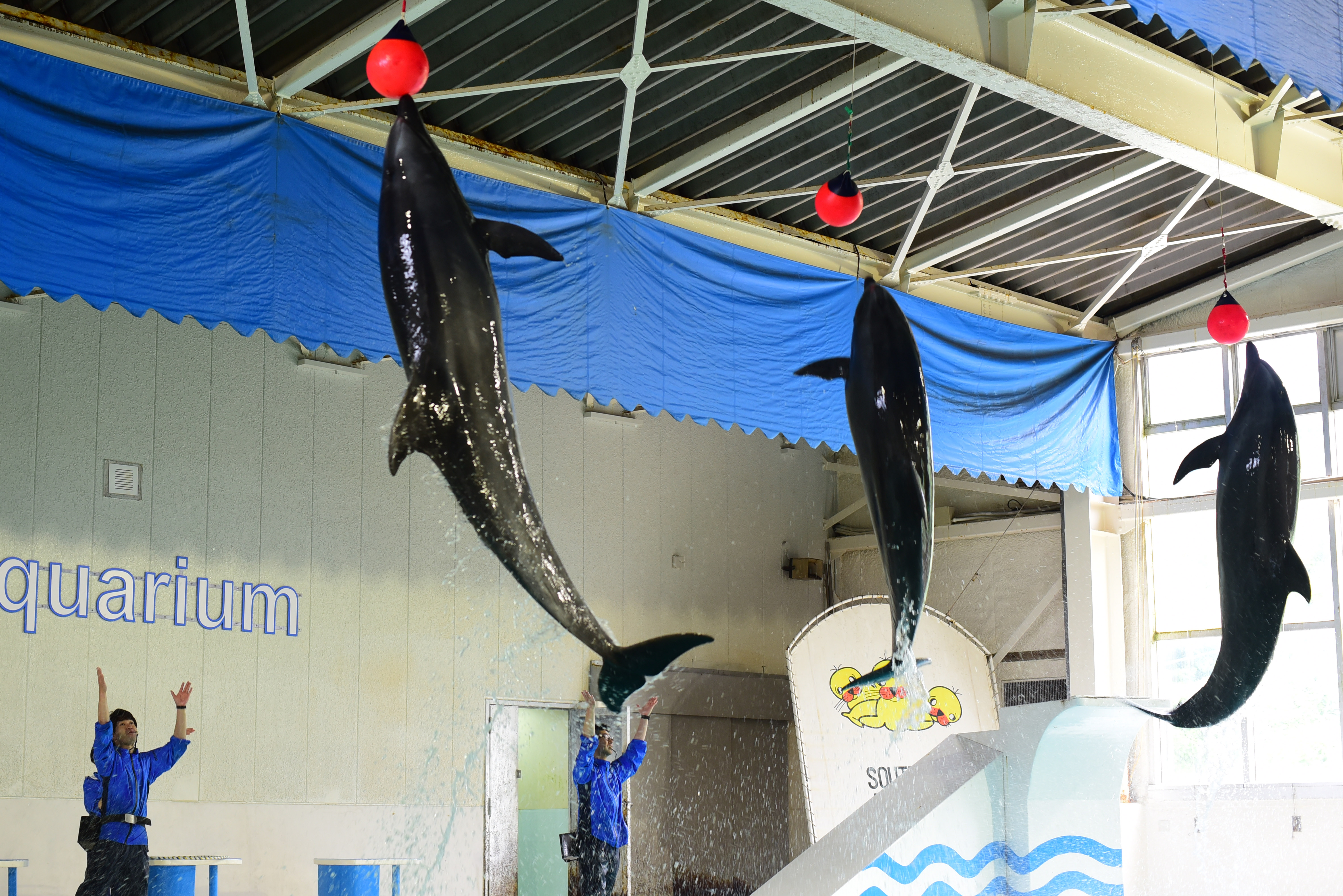 おたる水族館