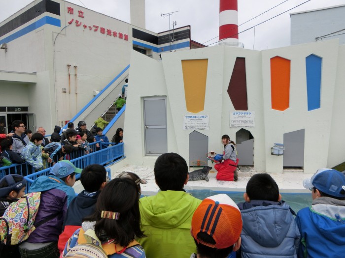 ノシャップ寒流水族館