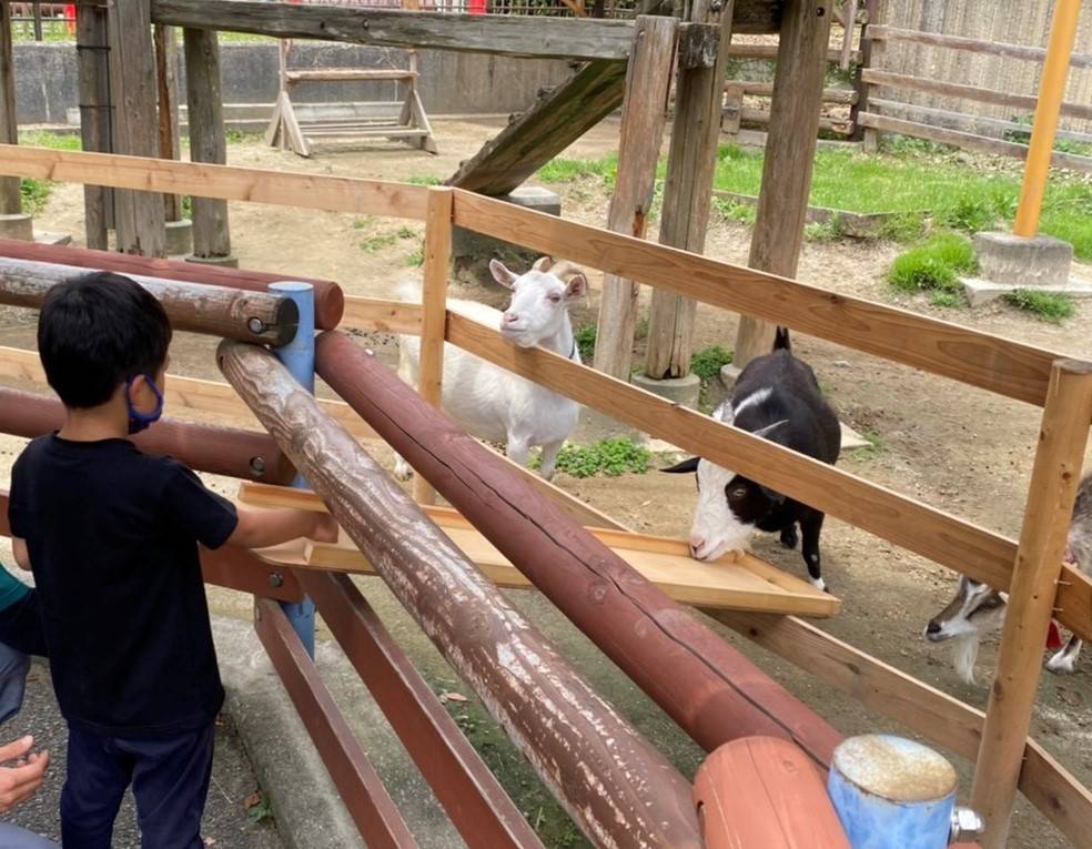 金沢動物園 ほのぼの広場