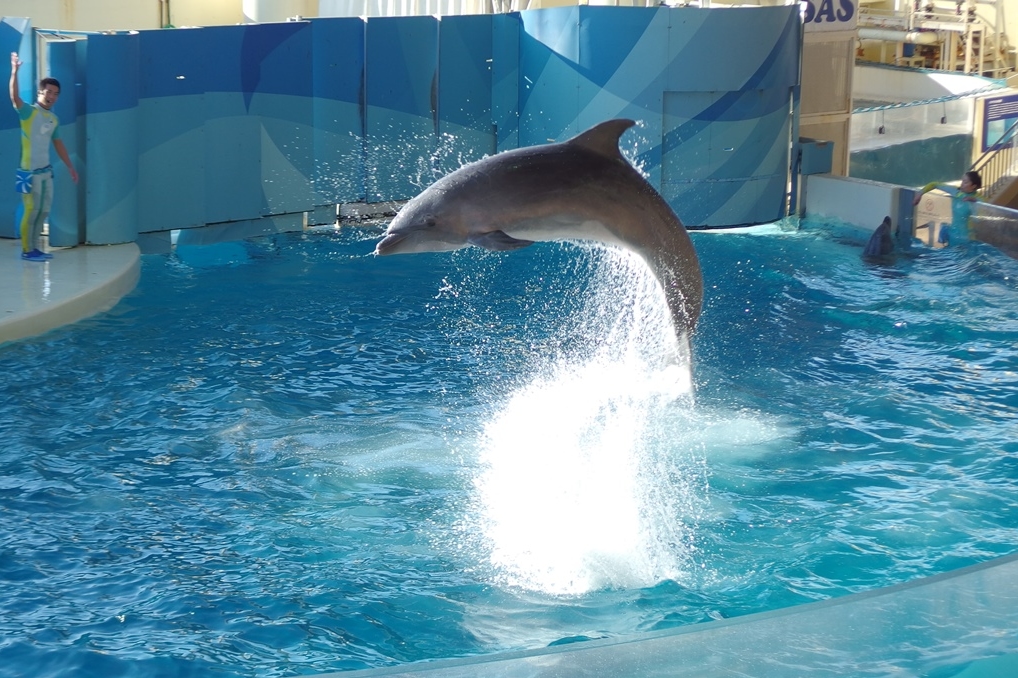 新江ノ島水族館