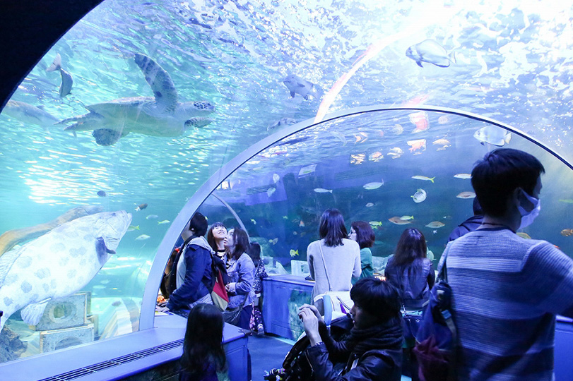 しながわ水族館