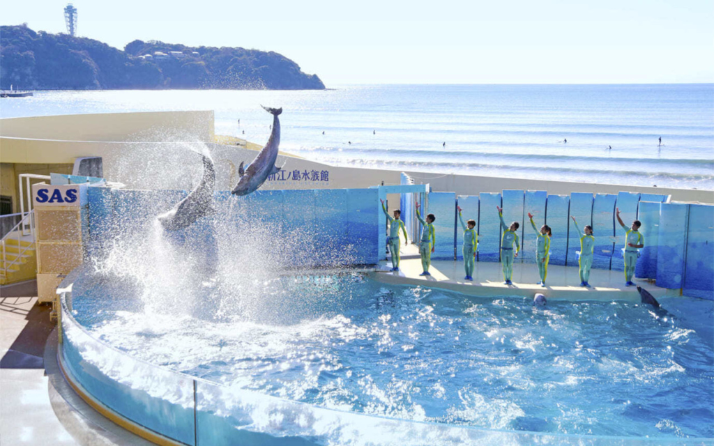 新江ノ島水族館