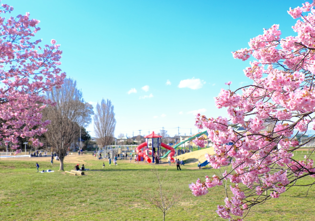 本庄総合公園