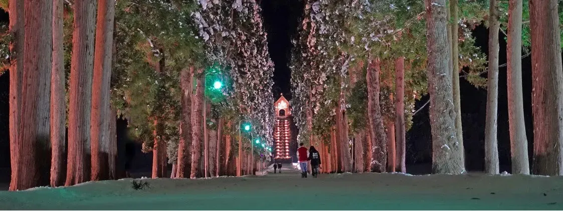 雪景色の中、並木道の奥に教会が見える夜景の写真。並木道には緑色のライトが灯り、カップルが歩いている。